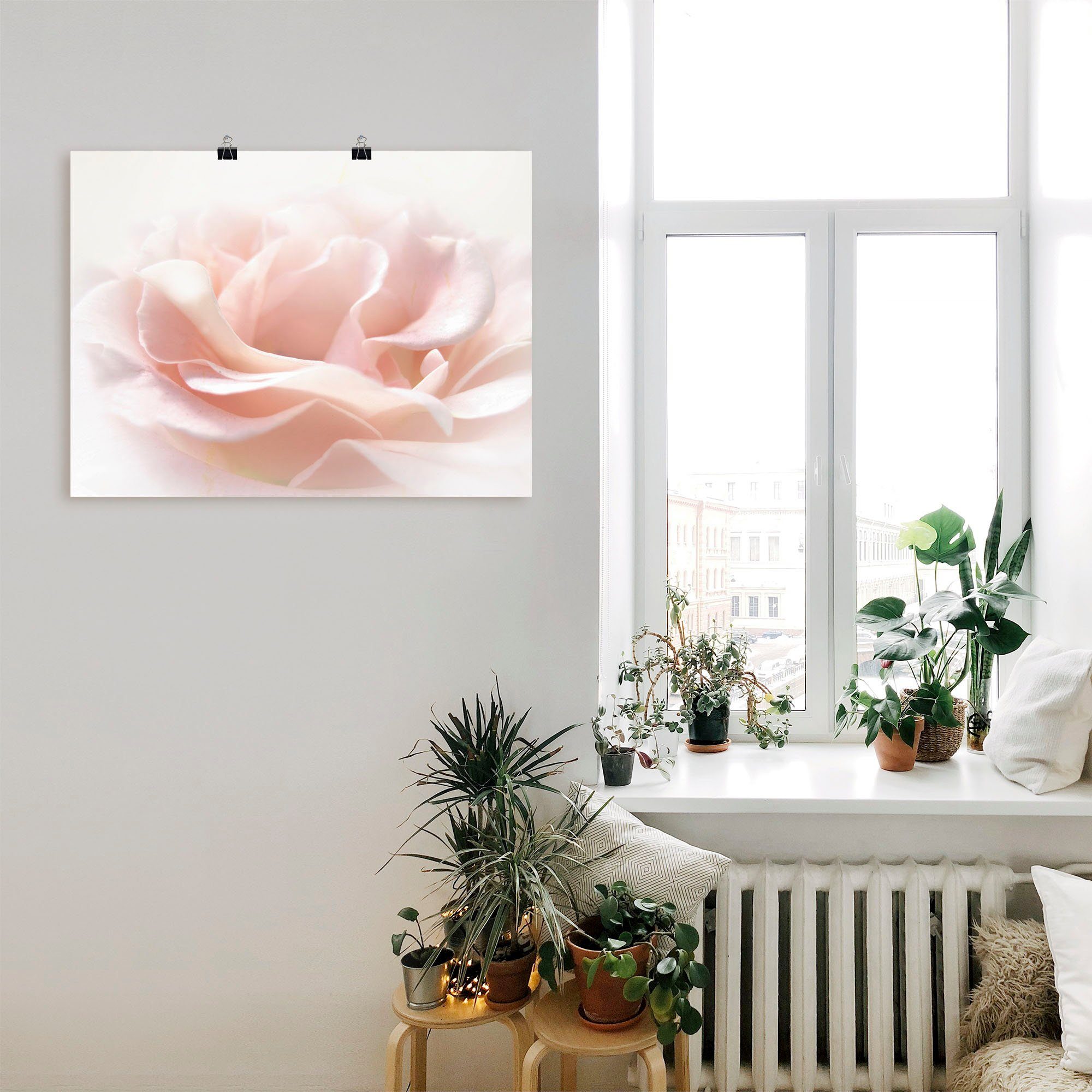 Artland Wandbild Rose I, Blumen (1 St), als Alubild, Poster in verschied. Größen