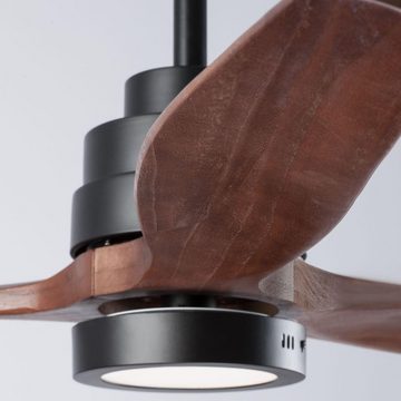 Kunstbaum LED Deckenventilator Sabal in Schwarz 12W 800lm, click-licht, Höhe 48 cm, Ventilatoren