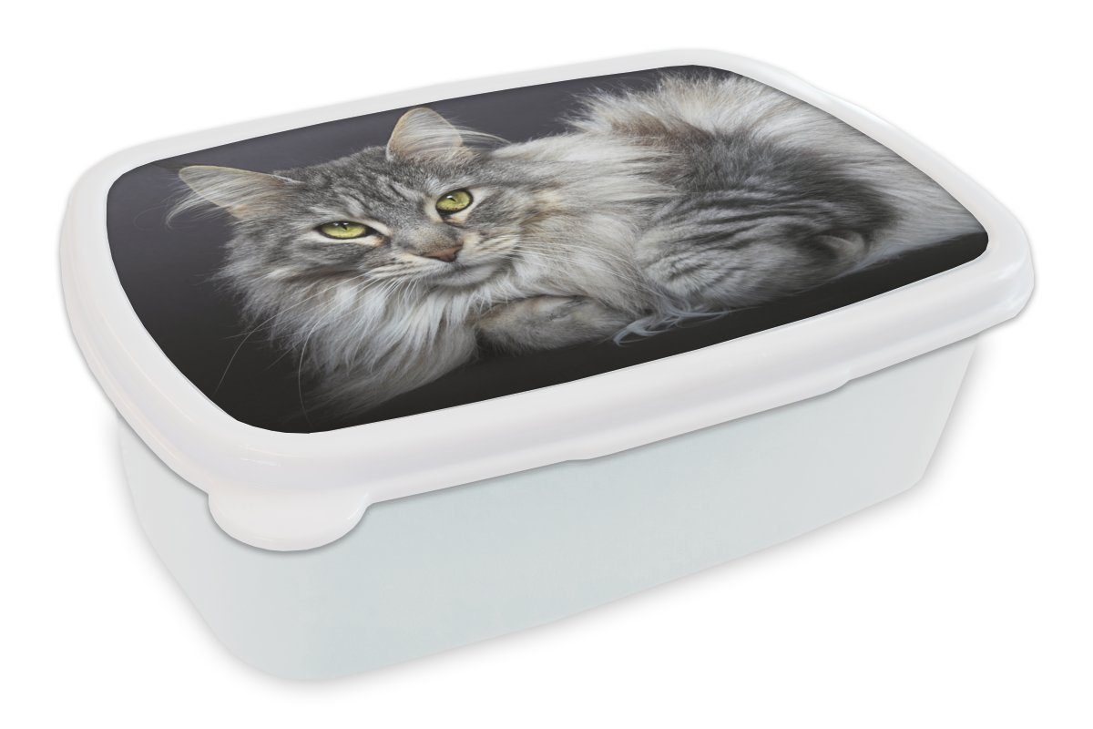 MuchoWow Lunchbox Eine schöne liegende Maine Coon Katze, Kunststoff, (2-tlg), Brotbox für Kinder und Erwachsene, Brotdose, für Jungs und Mädchen weiß