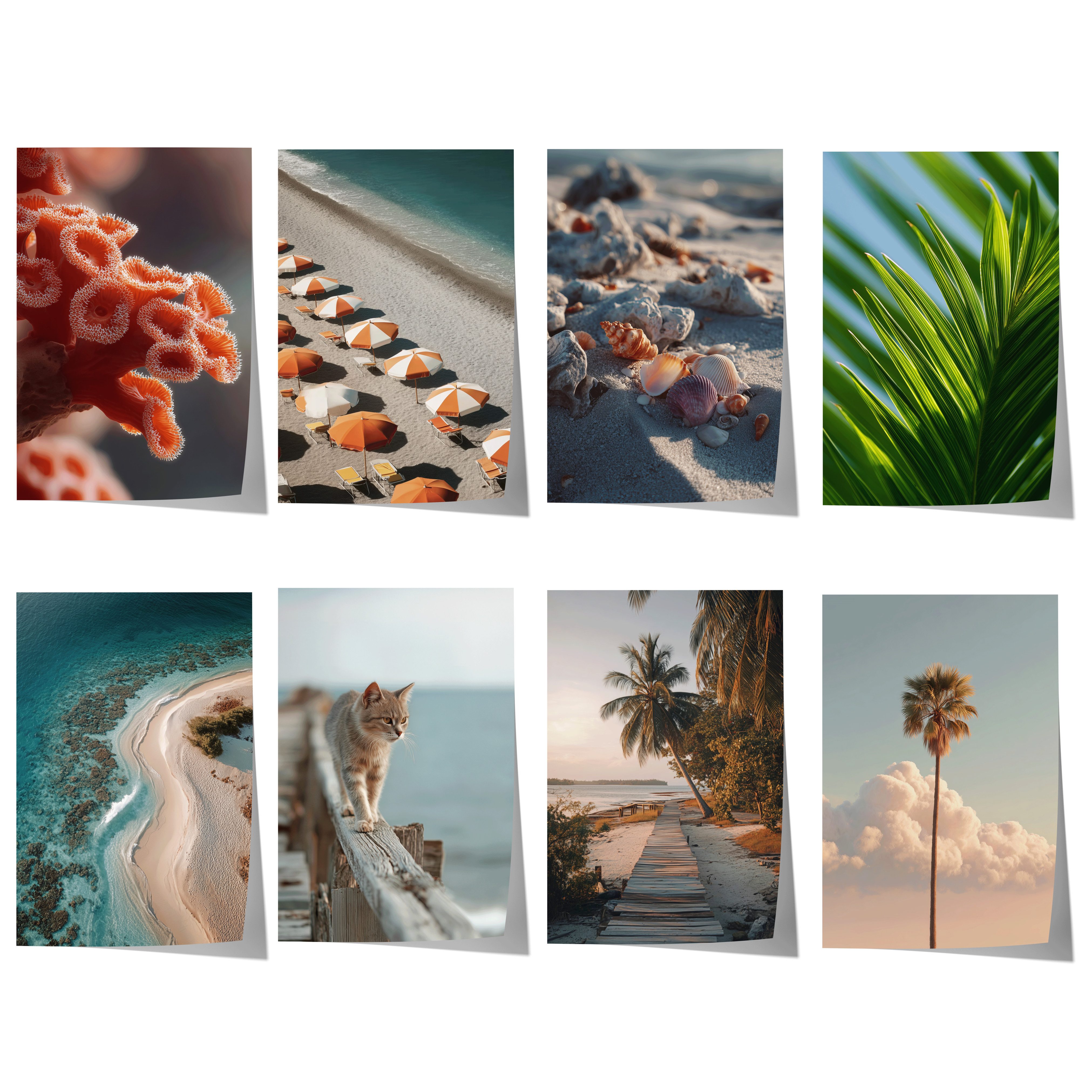 JUSTGOODMOOD Poster Strand Geschenkidee Palmen Muscheln Küstenlandschaften Dekoprint ohne, B (1 St)