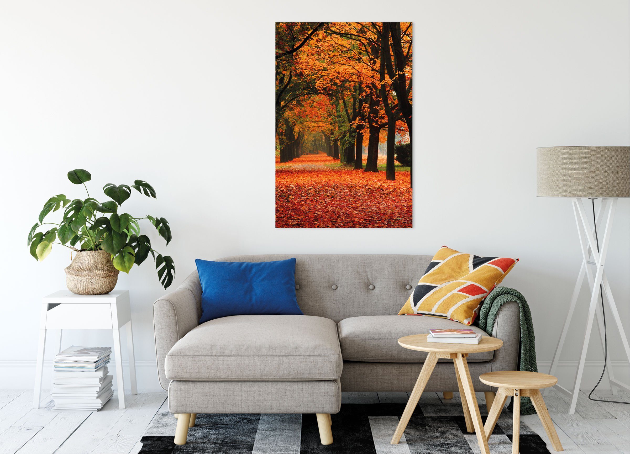 Pixxprint Leinwandbild Baumallee im Herbst, Baumallee günstig online kaufen