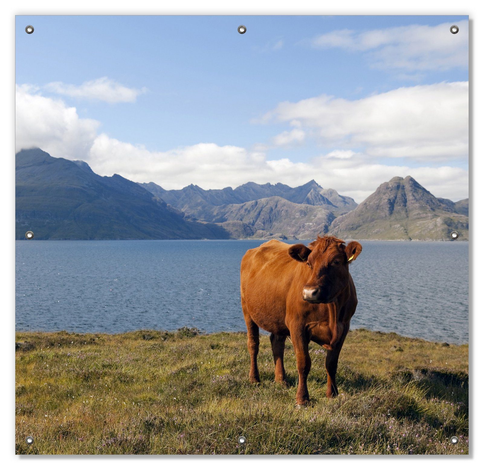 Förderungsantragsteller Sonnenschutz Kuh in und mit Bergen, wiederablösbar blickdicht, den wiederverwendbar Wallario, Saugnäpfen