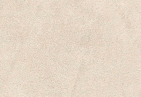 Home affaire 3-Sitzer Saltare elegant & komfortabel, toller Designfuß, bequem, Breite 205cm – Bild 5 von 5