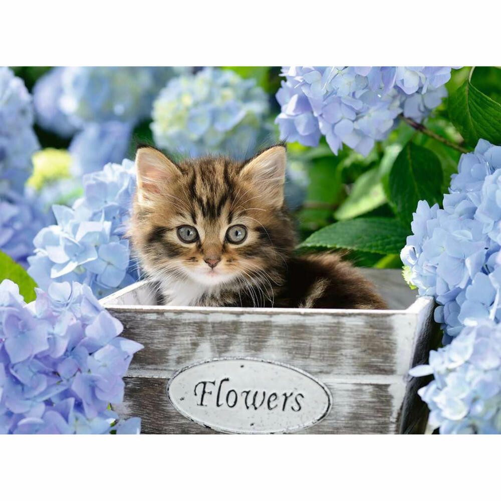 Ravensburger Puzzle Kleine Katze, 300 Puzzleteile
