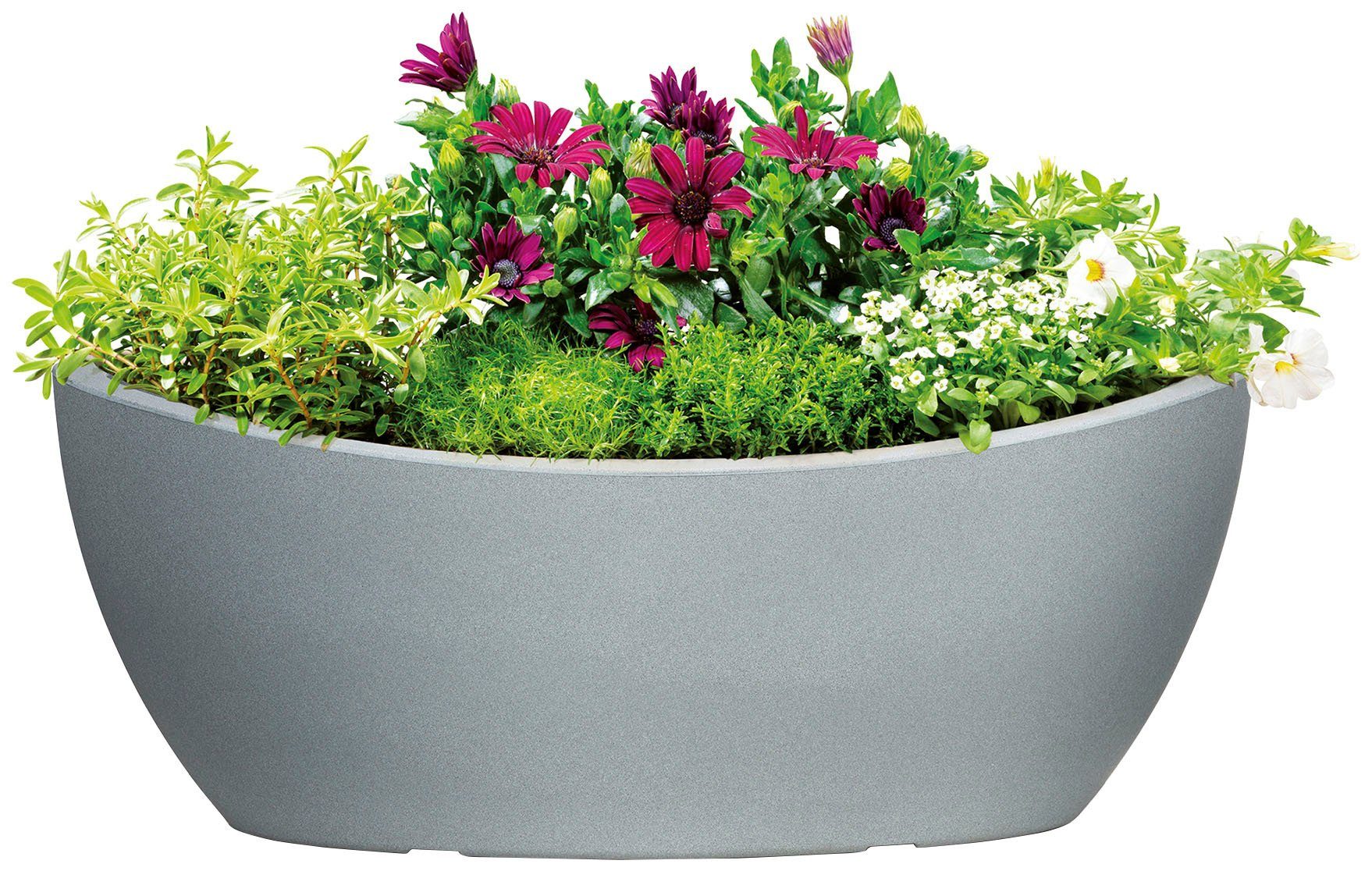 Scheurich grau WA.GLOBE Jardiniere 58/253