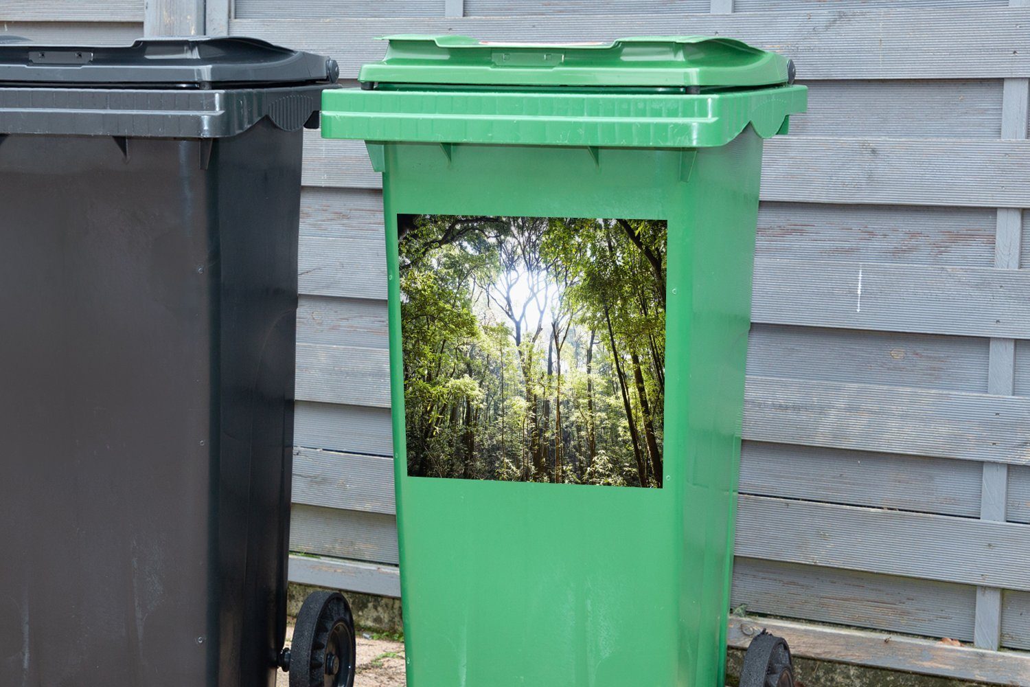 Abfalbehälter Regenwald Thailand durch eine Mülleimer-aufkleber, im Container, Sticker, Die in Öffnung scheint St), Wandsticker (1 MuchoWow Mülltonne, Sonne