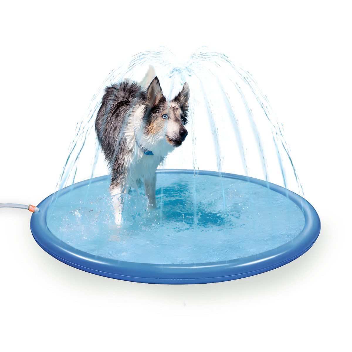Hundepool Hundepool mit Sprinkleranlage