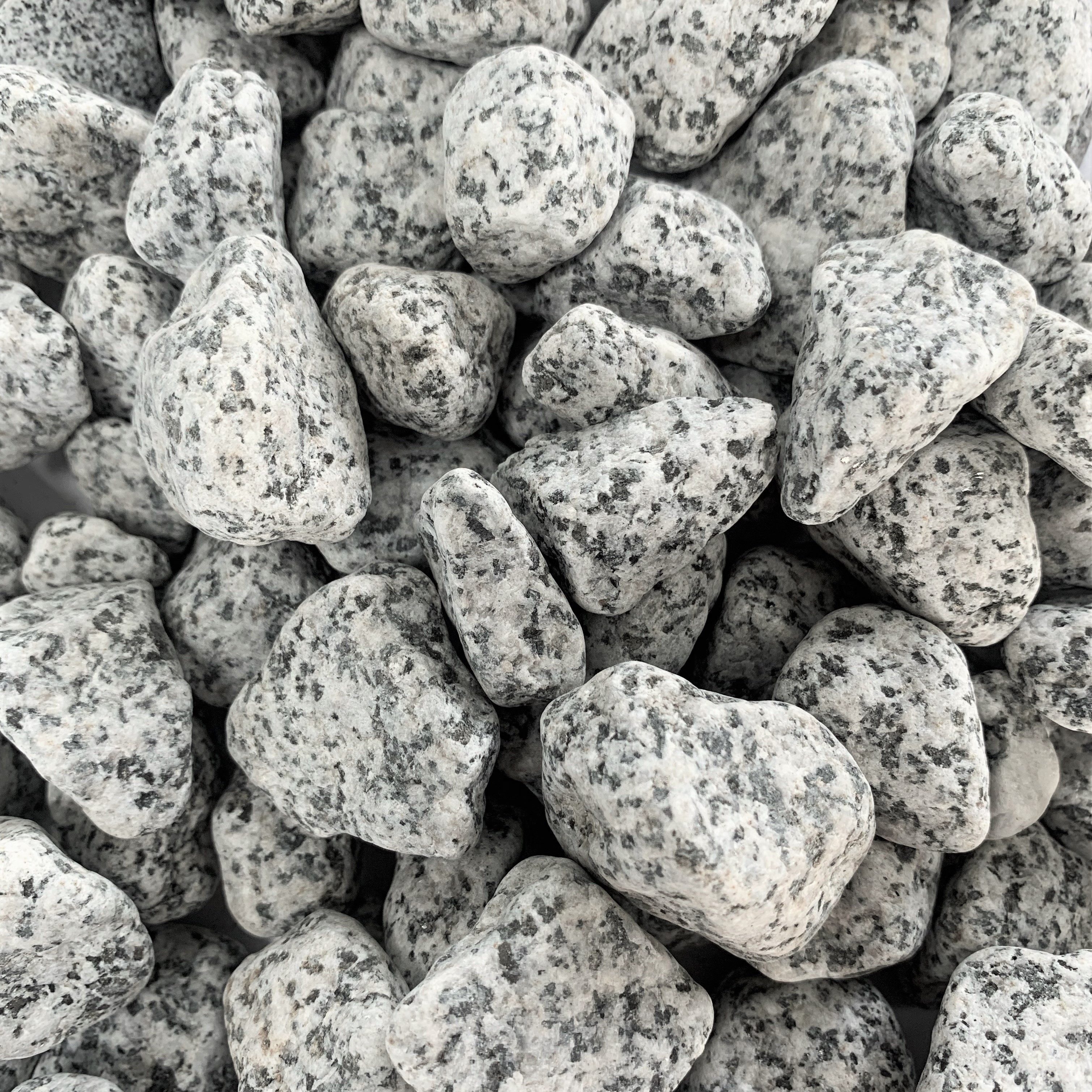 Dragimex Dekokies dio NATURSTEINE gerundet GRANIT 20-40mm, 1 kg. GRAU