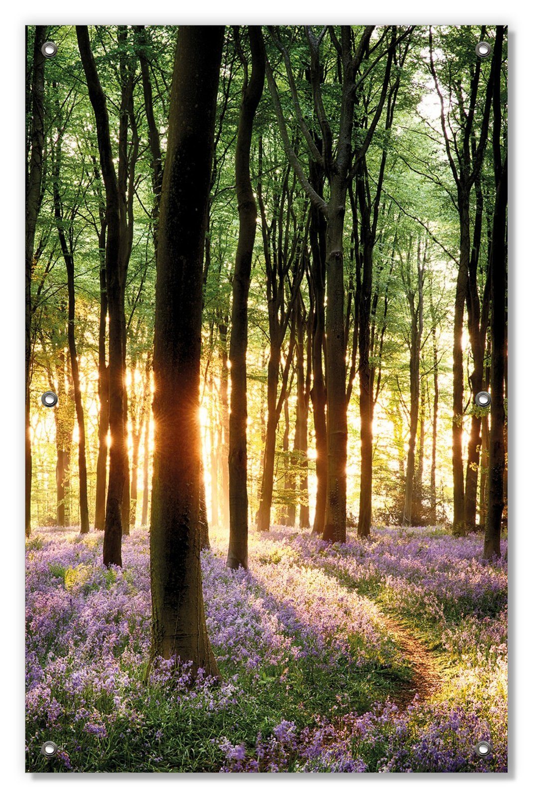 Sonnenschutz Blaue Hasenglöckchen im Wald mit Sonnenstrahlen, Wallario, blickdicht, mit Saugnäpfen, wiederablösbar und wiederverwendbar