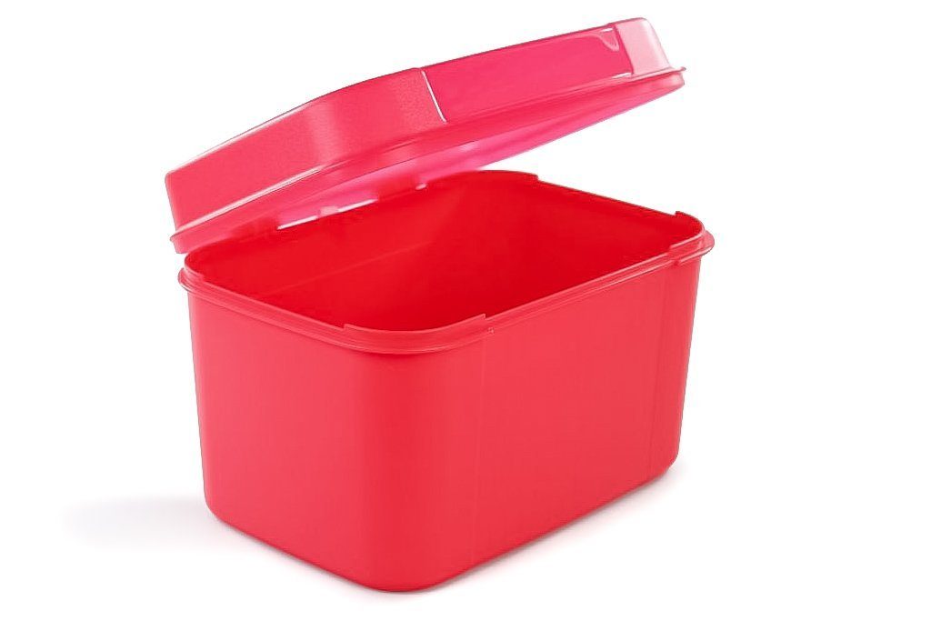 TUPPERWARE L Naschkätzchen 7,3 Schatzkiste Vorratsdose Schatztruhe