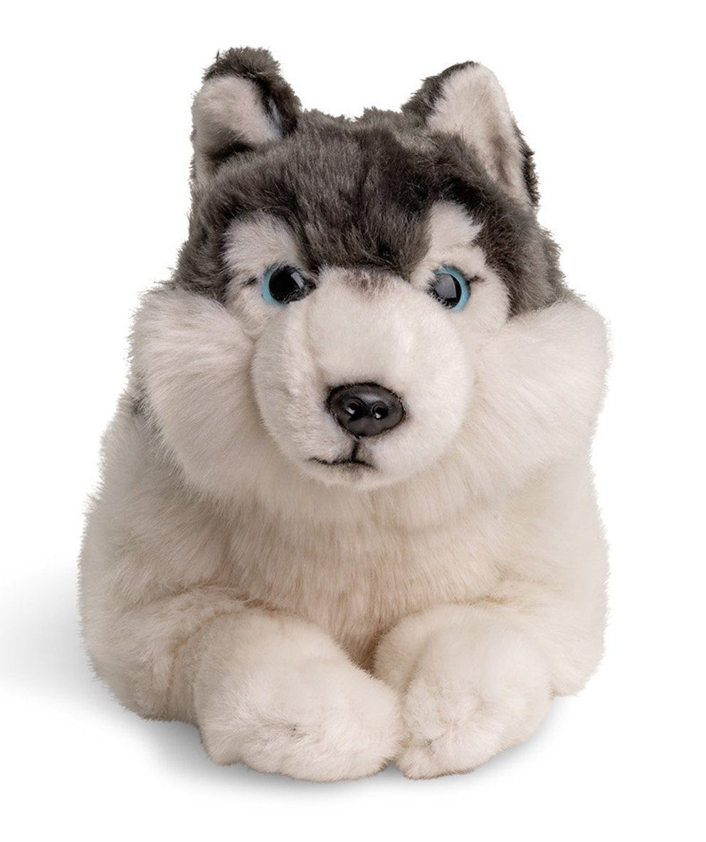 Kuscheltier zu % 38 Husky 100 Plüsch-Hund grau, - recyceltes Uni-Toys (Länge) - cm - Plüschtier, liegend Füllmaterial