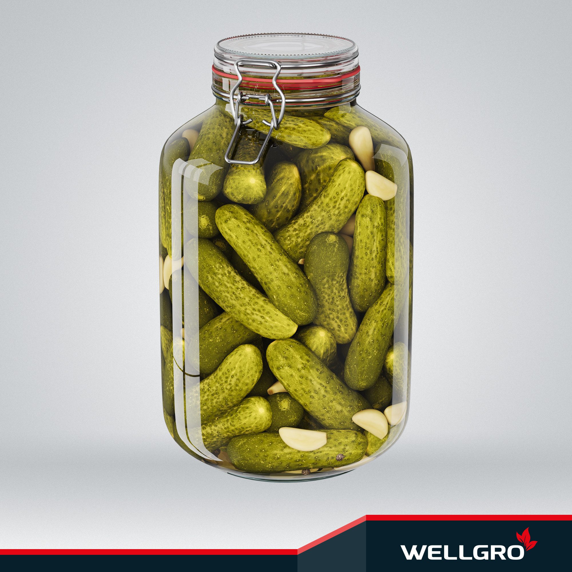 Wellgro Vorratsglas Einmachgläser mit Bügelverschluss rund, Fermentierglas, (1-tlg)