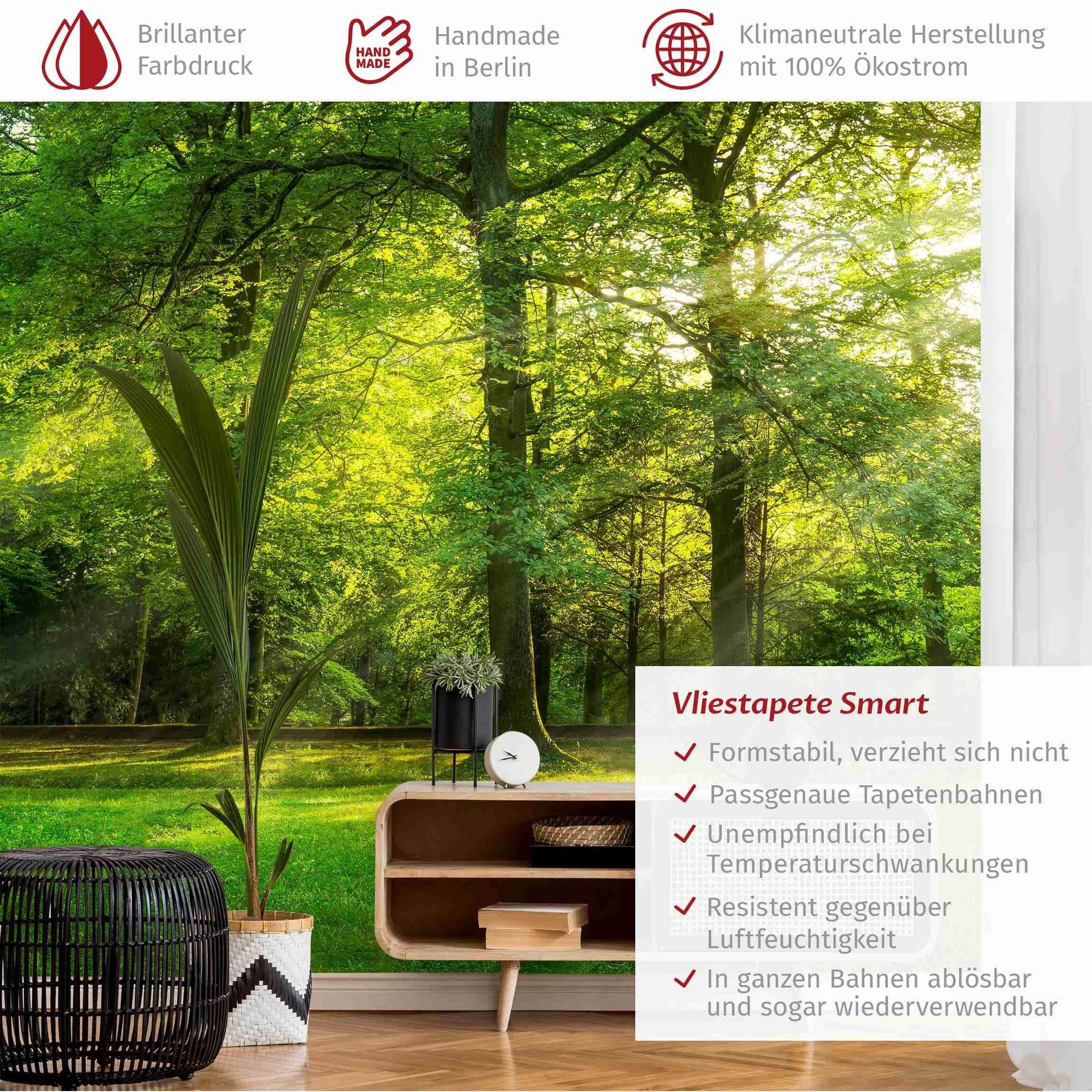 Bilderdepot24 Fototapete Wald Spaziergang Wald Natur günstig online kaufen