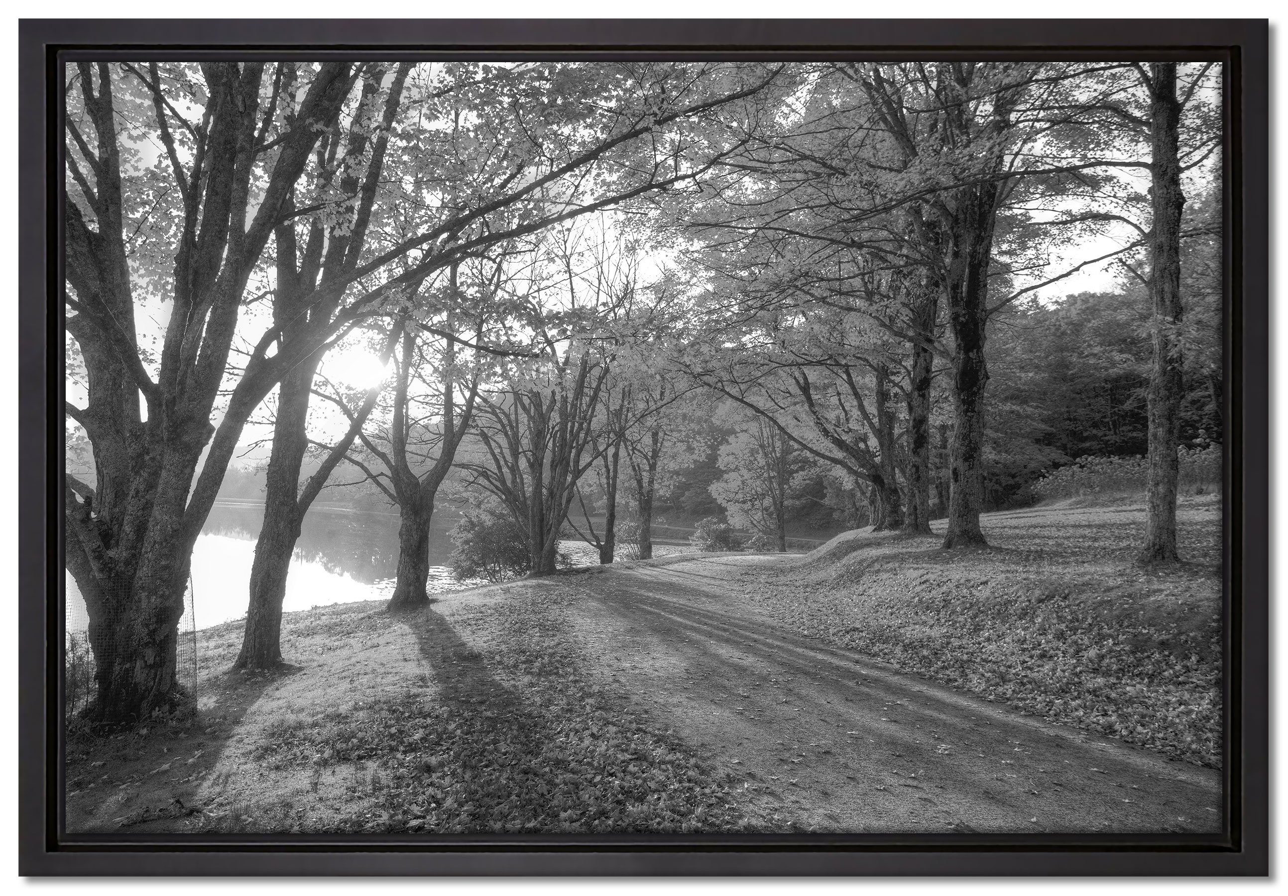 Pixxprint Leinwandbild Herbstlicher Park am See, Wanddekoration (1 St), Leinwandbild fertig bespannt, in einem Schattenfugen-Bilderrahmen gefasst, inkl. Zackenaufhänger