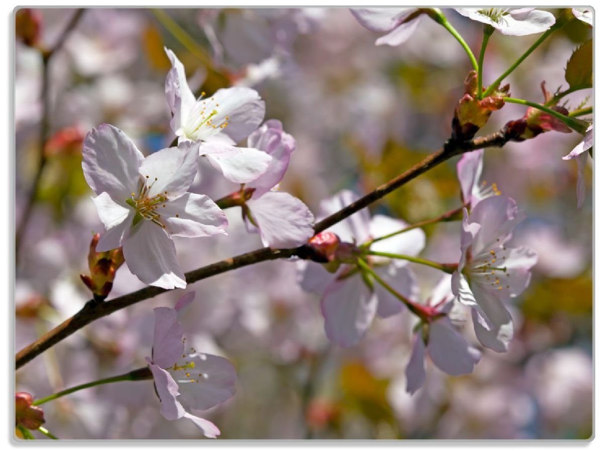 Wallario Schneidebrett Kirschblüten in zartem ESG-Sicherheitsglas, 1-St), rutschfester Rosa Garten, 4mm, Gummifüße 30x40cm im - Frühling (inkl