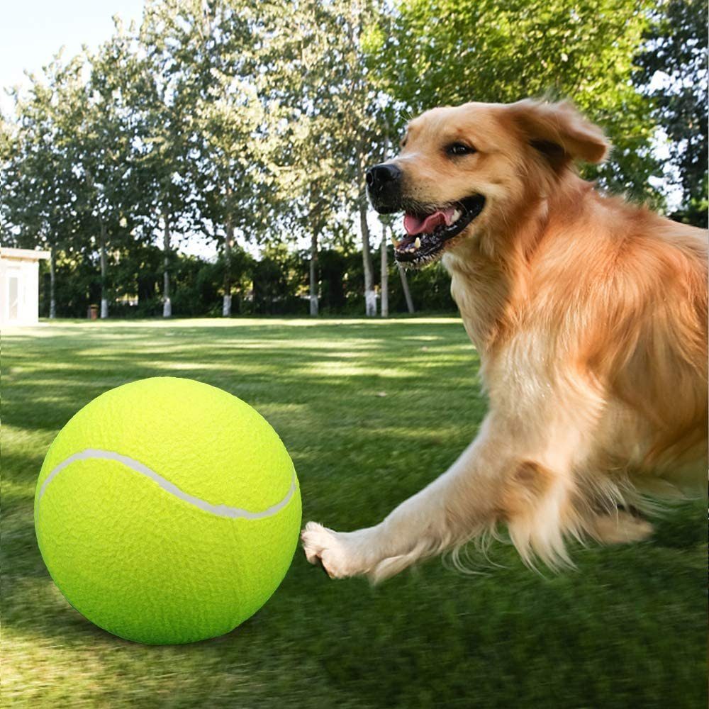 Jormftte Tennisball Übungsbälle Hundespielzeug Bälle gelb3