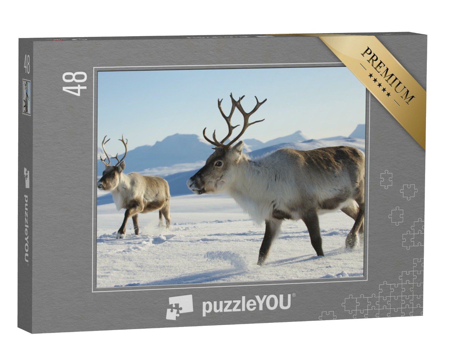 puzzleYOU Puzzle Rentiere im Norden von Norwegen, 48 Puzzleteile, puzzleYOU-Kollektionen Rentiere, Tiere des Nordens