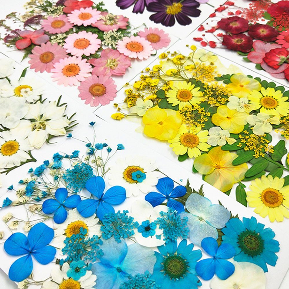Trockenblume DIY Trockenblumen-Material-Set, Modische Gepresste Blumen, Trockenblume Pflanzen, Blusmart, redB