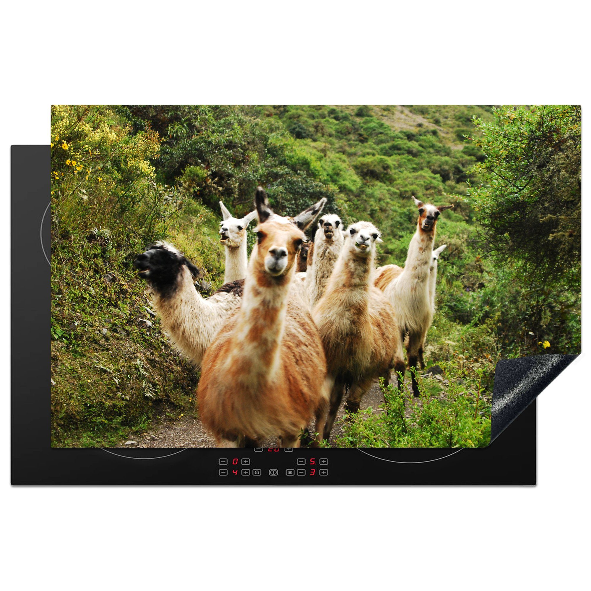 MuchoWow Herdblende-/Abdeckplatte Lamas auf dem Inka-Pfad, Vinyl, (1 tlg), 81x52 cm, Induktionskochfeld Schutz für die küche, Ceranfeldabdeckung