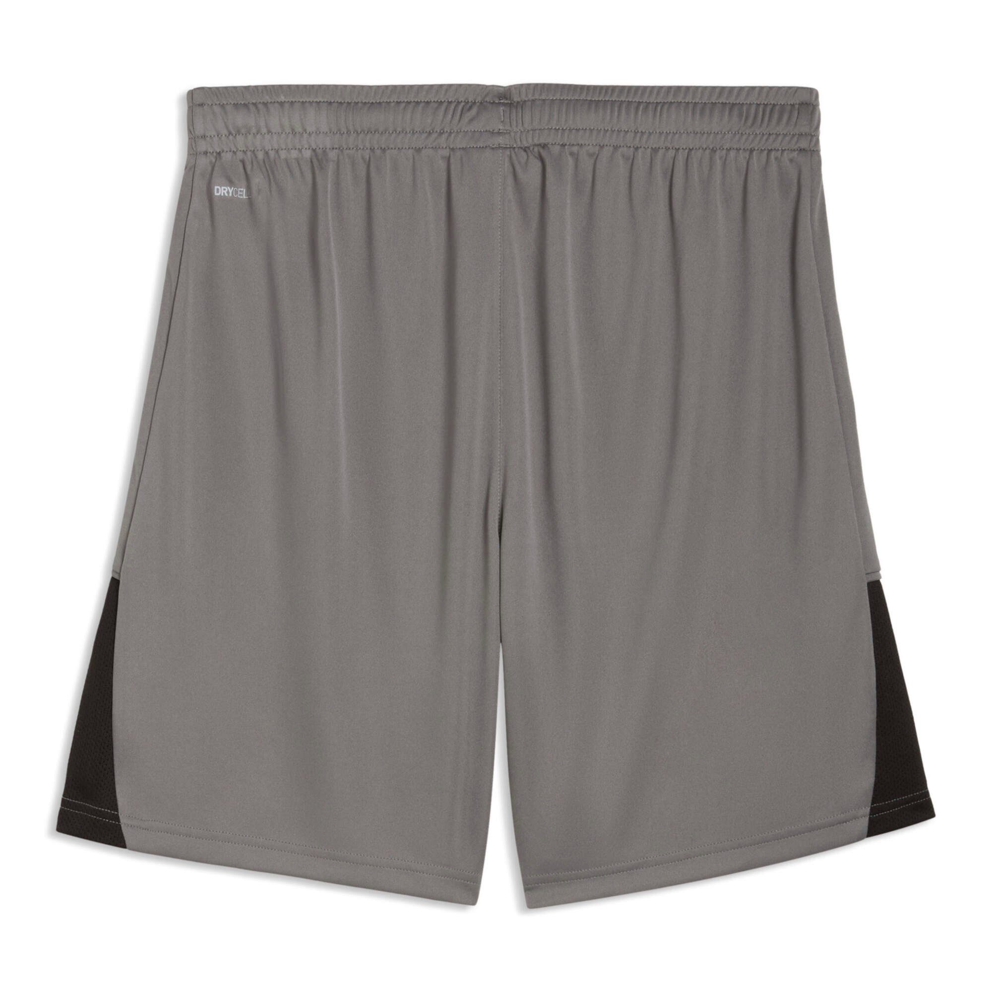 PUMA Trainingsshorts Puma Herren Short teamLIGA26 Shorts 706554