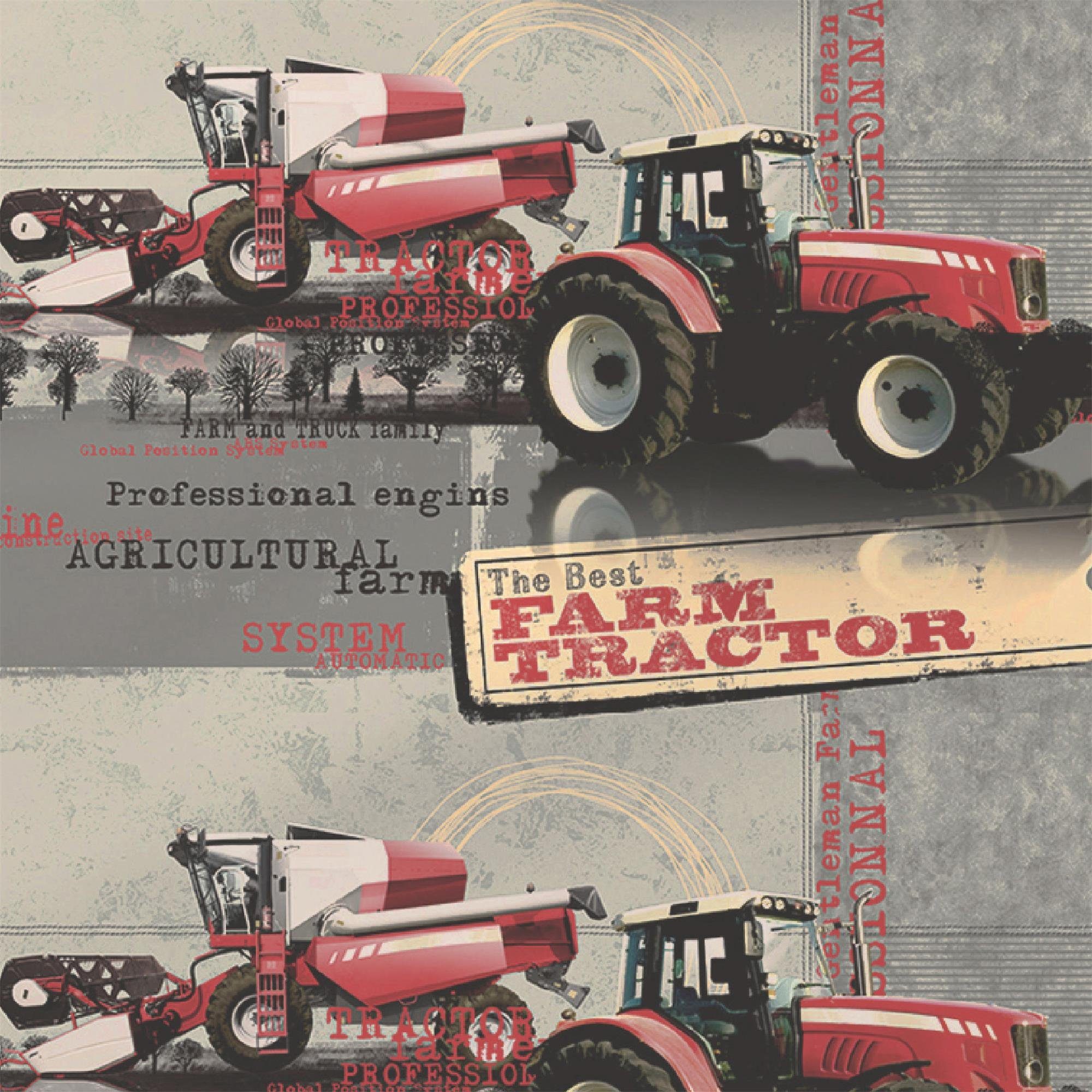 CelinaTex Bettwäsche Biber Kids Kinder Bettgarnitur günstig online kaufen