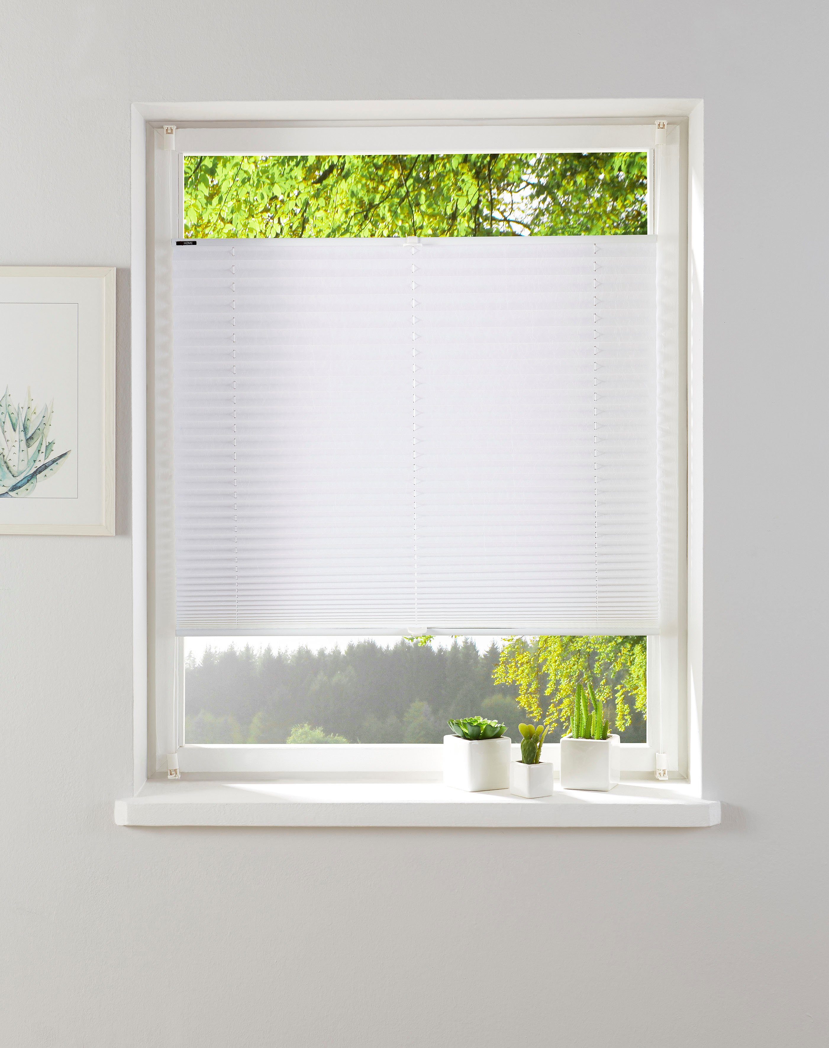my home Plissee KATIA, Lichtschutz, ohne Bohren, verspannt, Klemmfix, Fixma günstig online kaufen
