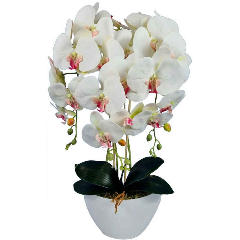 Kunstblume Orchidee, damich, Höhe 60 cm, Künstliche Orchidee 60 cm
