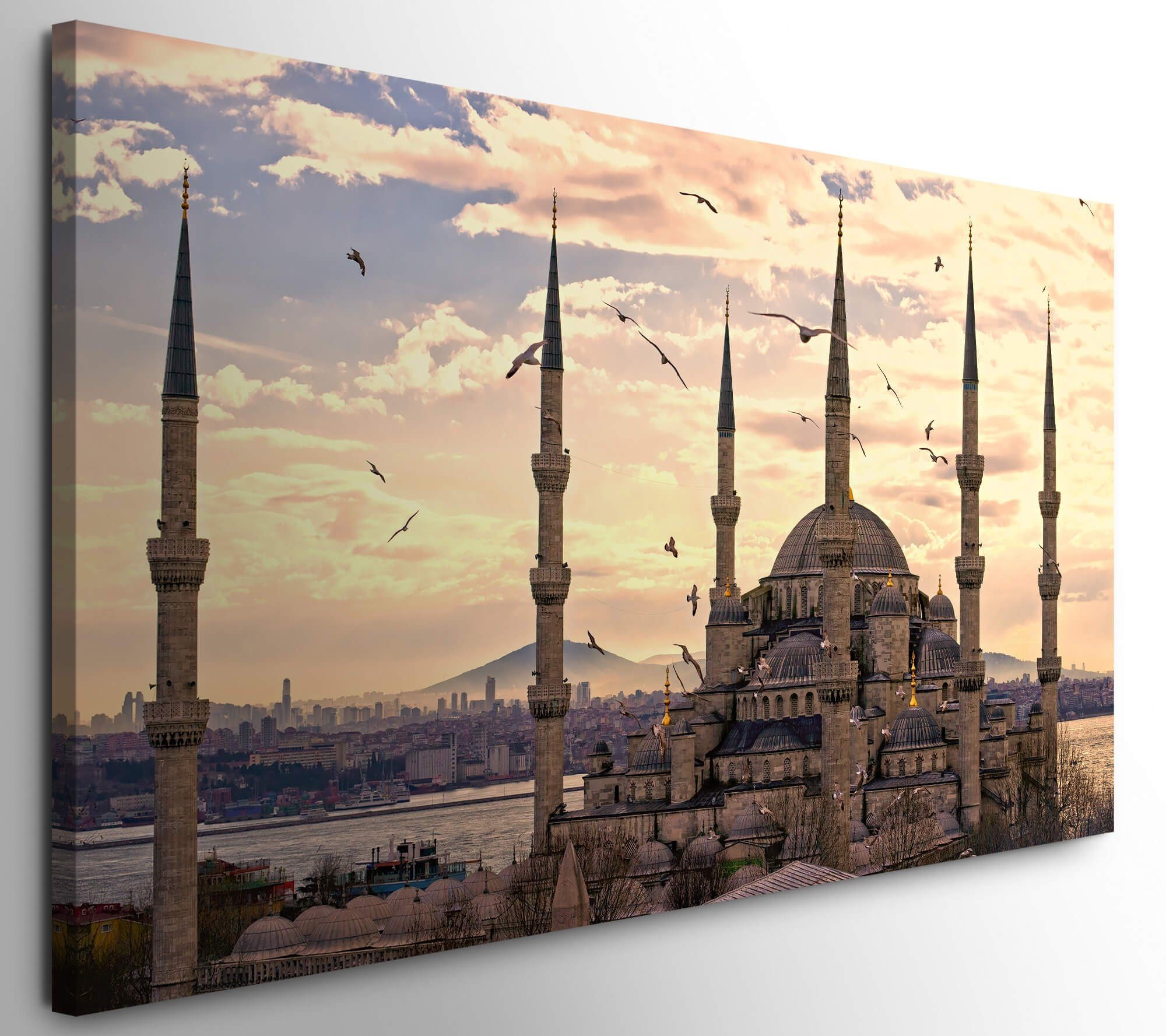 möbel-direkt.de Leinwandbild Bilder XXL Istanbul 50x100cm mit auf Wandbild Vögeln Leinwand