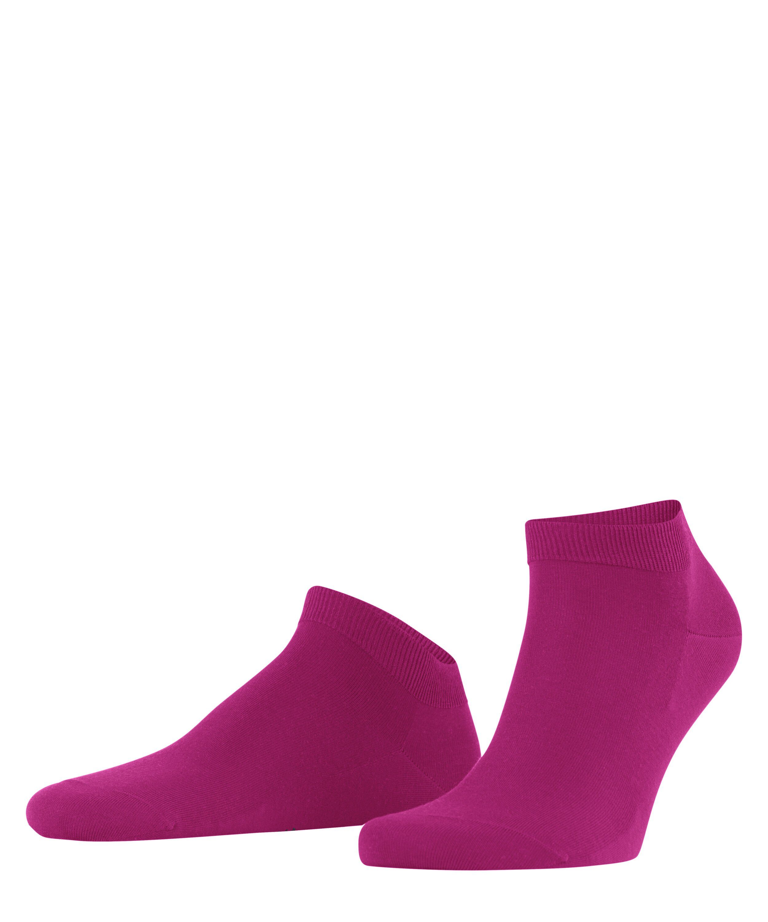 Sneakersocken FALKE nachhaltigem berry mit (8390) (1-Paar) Garn ClimaWool