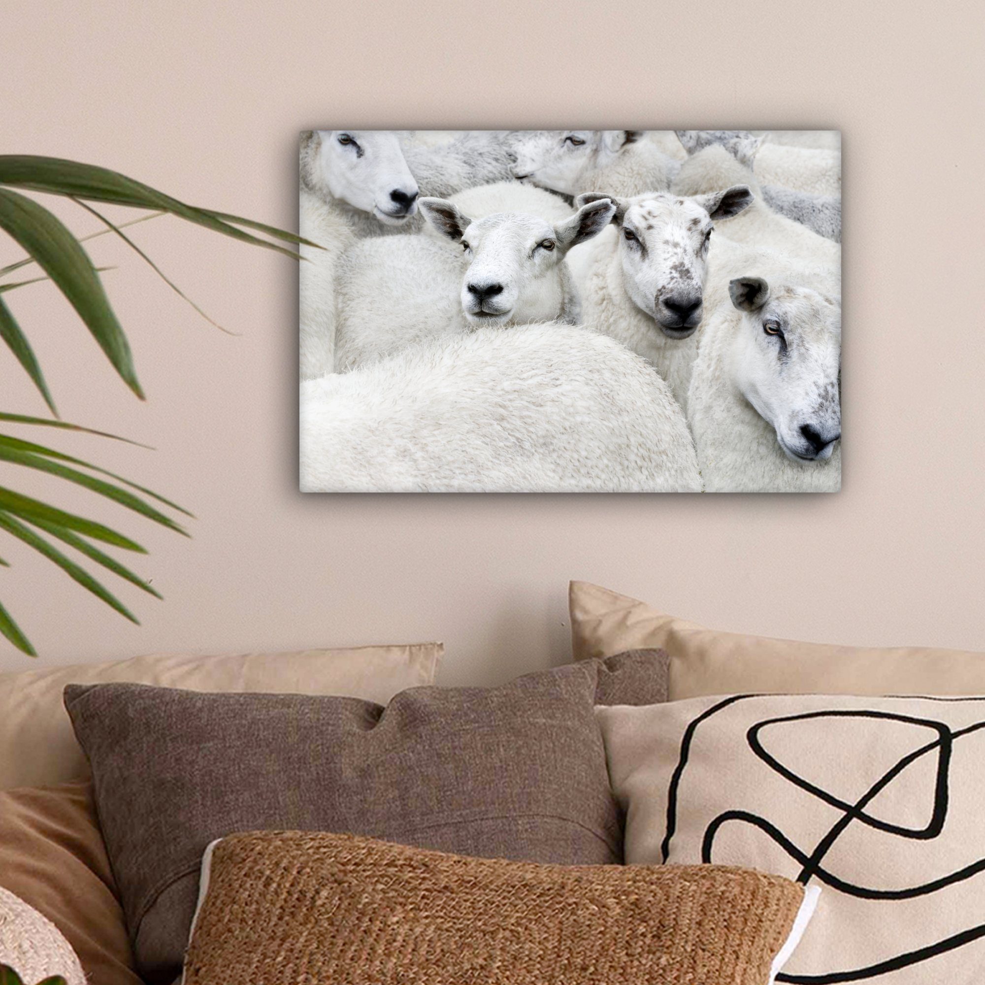 Tiere OneMillionCanvasses® - cm Leinwandbilder, - (1 Wandbild Schafe Bauernhof, Aufhängefertig, St), Leinwandbild Wanddeko, 30x20
