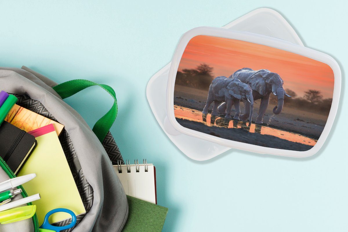 und Kunststoff, Mädchen - weiß MuchoWow - Erwachsene, Tiere Orange, für Elefant und Brotdose, für Jungs Lunchbox Brotbox - - Sonnenuntergang Kinder Wasser (2-tlg),