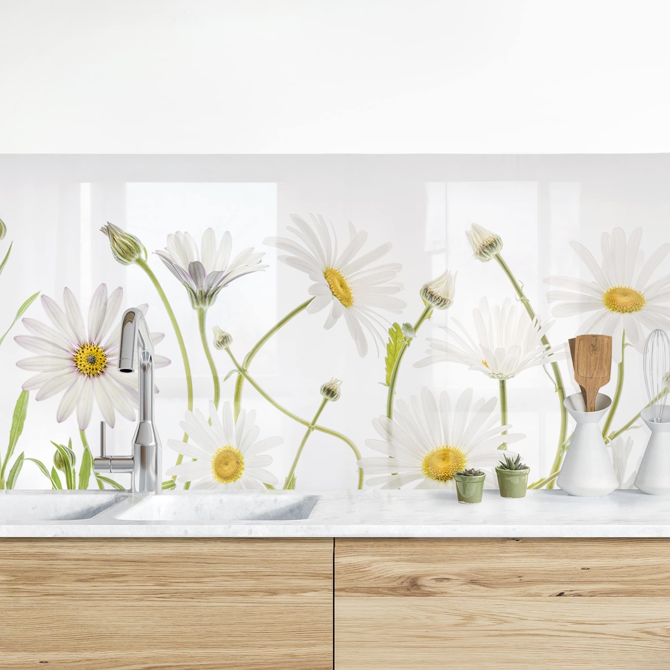 Bilderdepot24 Küchenrückwand weiß dekor Blumen Landhaus Leichter Gänseblümchen Mix II, (1-tlg., Nischenrückwand - für Fliesenspiegel ohne Bohren - matt), Spritzschutz Rückwand Küche Herd - Folie selbstklebend versch. Größen