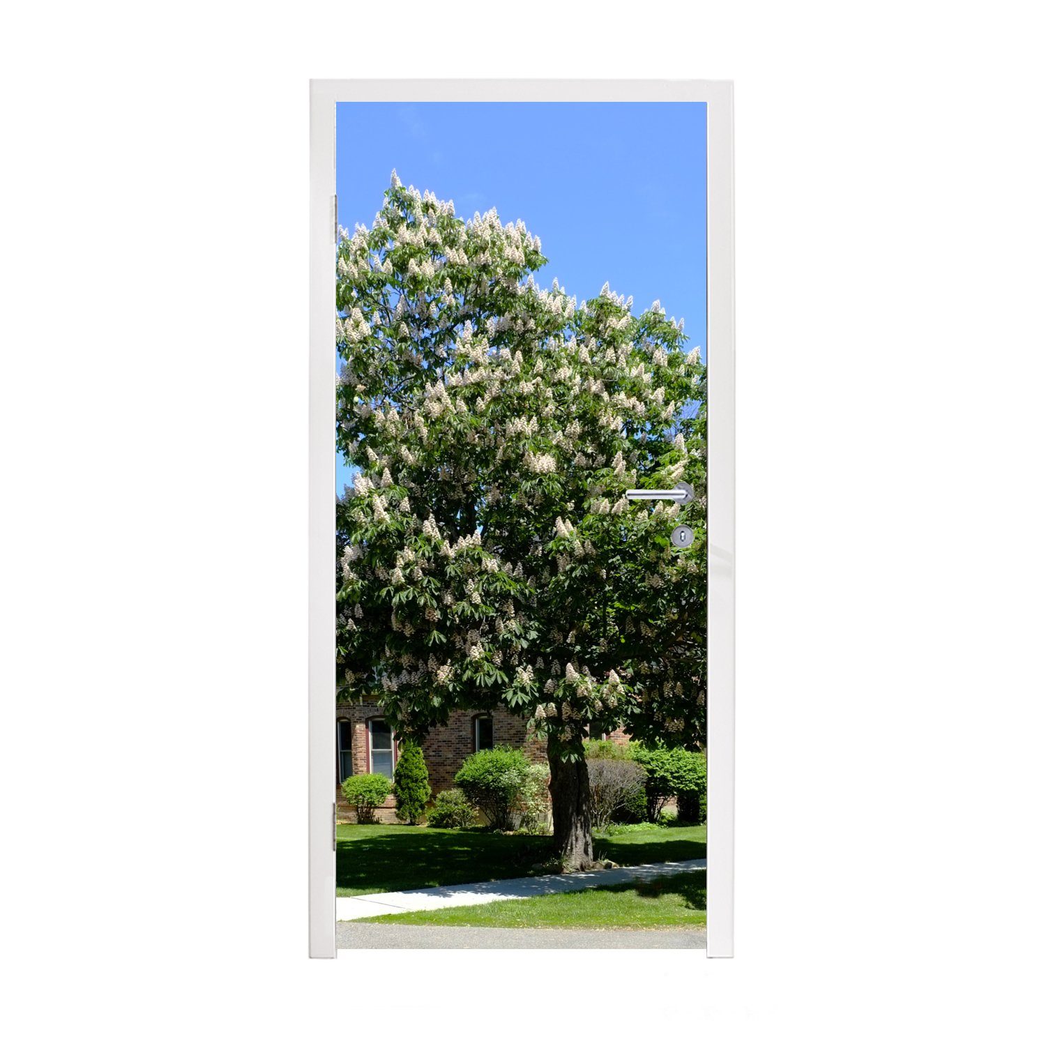 MuchoWow Türtapete Kastanienbaum in voller Blüte im Frühling, Matt, bedruckt, (1 St), Fototapete für Tür, Türaufkleber, 75x205 cm