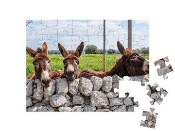 puzzleYOU Puzzle Niedliche Esel blicken durch eine Steinmauer, 48 Puzzleteile, puzzleYOU-Kollektionen Esel
