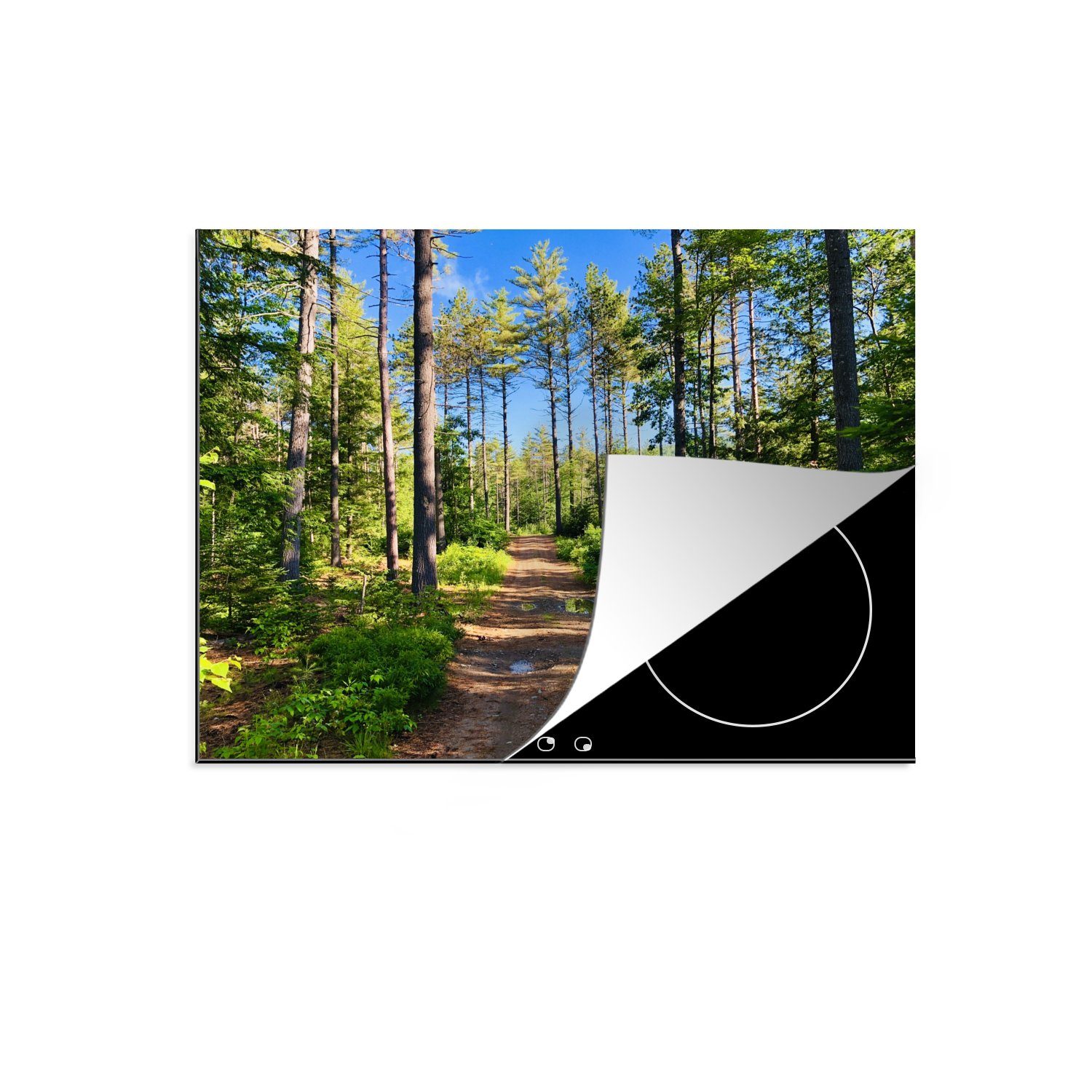 MuchoWow Herdblende-/Abdeckplatte Wald in Maine, Vinyl, (1 tlg), 70x52 cm, Mobile Arbeitsfläche nutzbar, Ceranfeldabdeckung