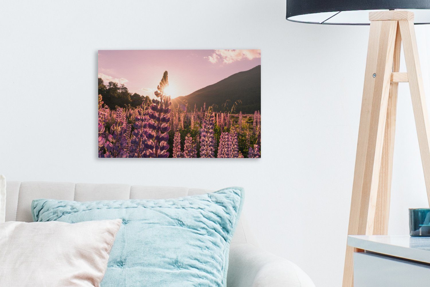 OneMillionCanvasses® Leinwandbild Aufhängefertig, in St), Wandbild im 30x20 cm (1 Lupine Wilde Leinwandbilder, Ozeanien, Fiordland-Nationalpark Wanddeko