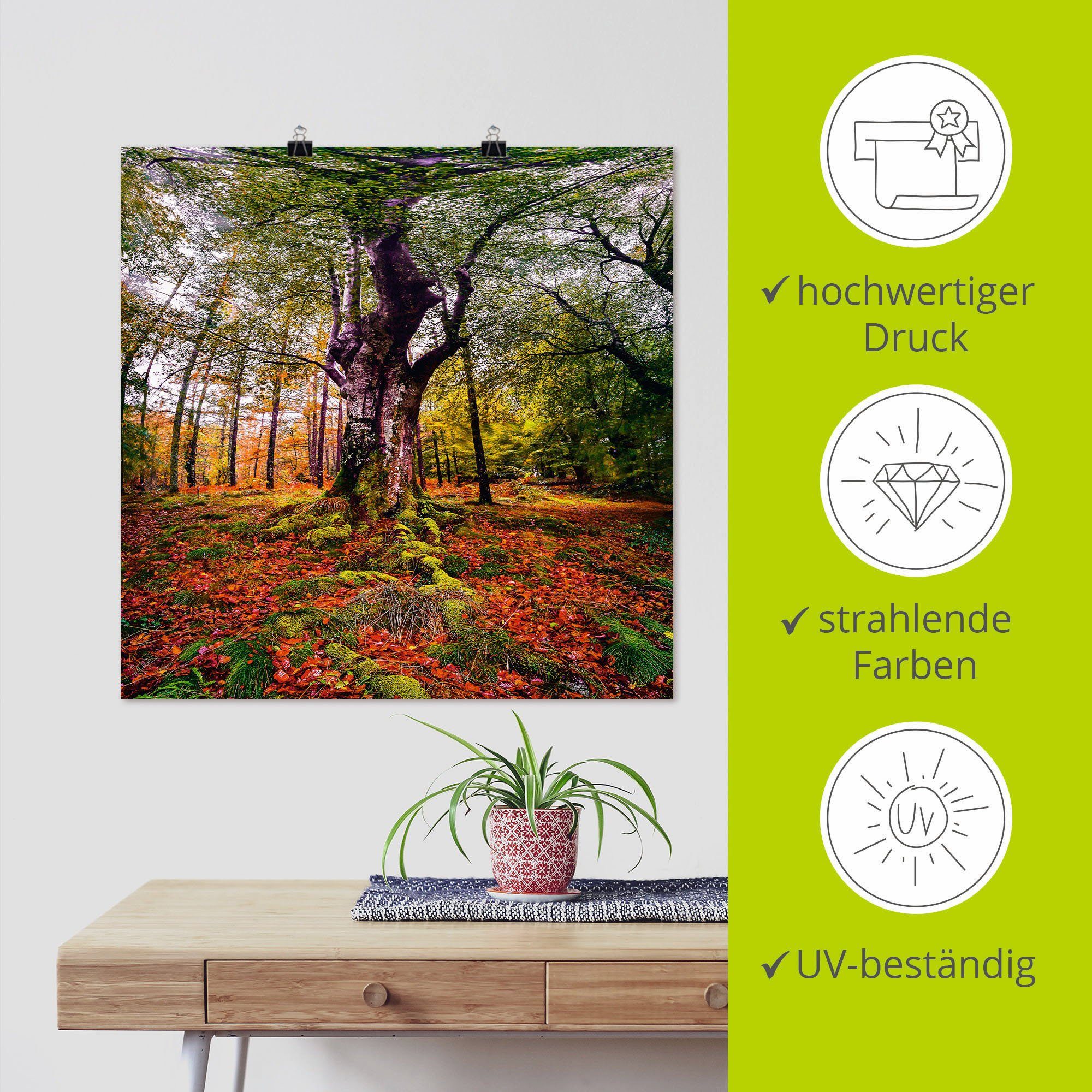 in Alubild, Poster Leinwandbild, als St), Wald, Wandaufkleber Baum Größen (1 Baumbilder Wandbild oder versch. Artland im
