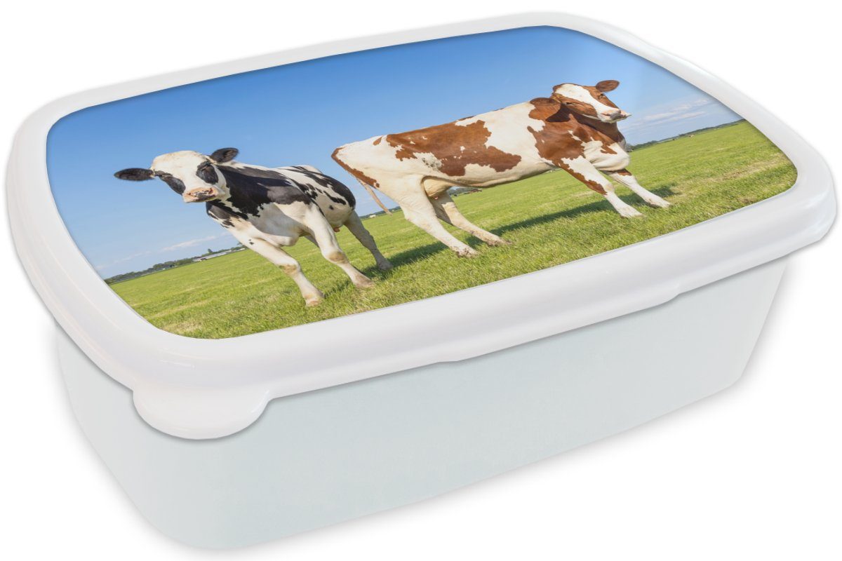 Mädchen Tiere, Lunchbox MuchoWow (2-tlg), Jungs und Natur Gras - weiß Bauernhof Kühe Brotbox Erwachsene, und Brotdose, - für Kunststoff, Kinder - - für