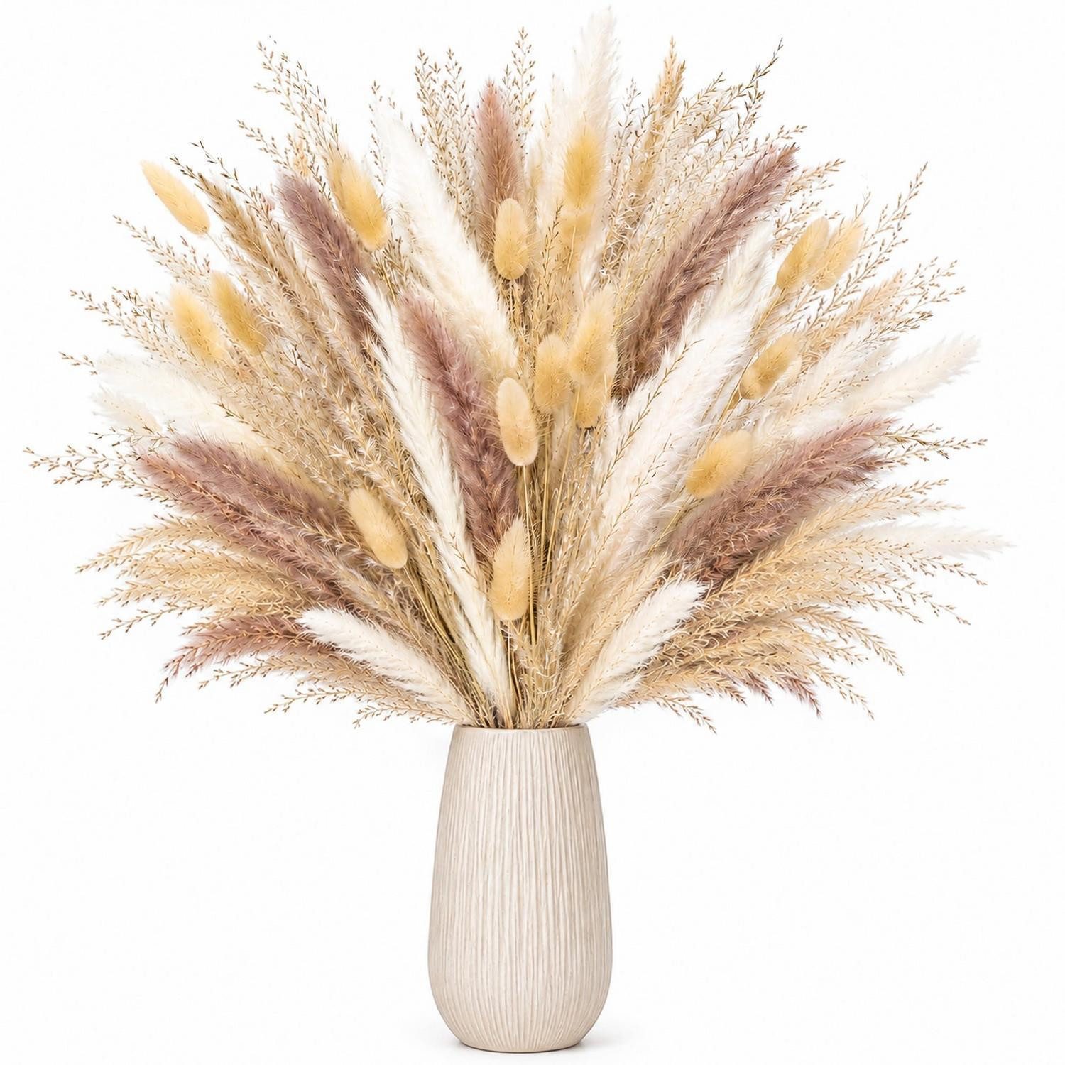 Trockenblume Pampasgras Trockenblumen 100 Stk 43cm, LuxusKollektion, Höhe 10 cm