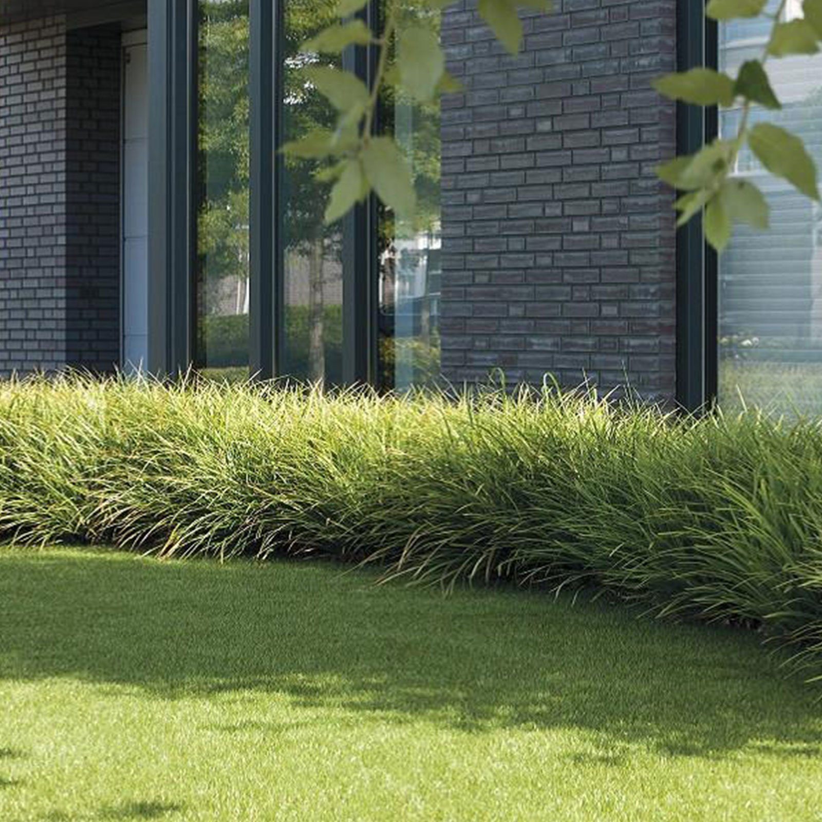 Rasenteppich pura, Größen, casa vielen Windsor, erhältlich Rasen, Kunstrasen Höhe: 25 in mm