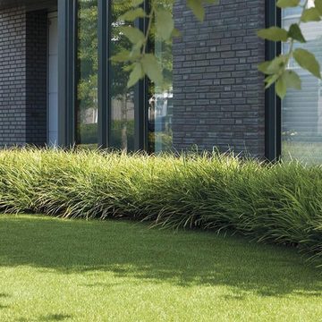 Kunstrasen Windsor, Rasenteppich erhältlich in vielen Größen, Rasen, casa pura, Höhe: 25 mm