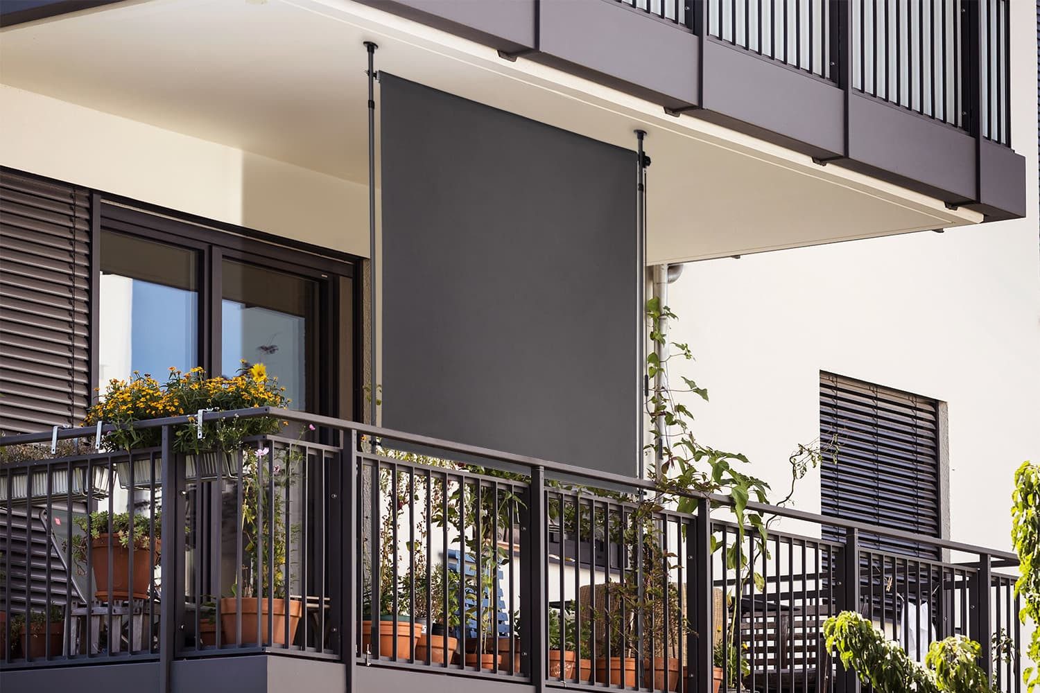 empasa Klemmmarkise Privacy Screen Seiten-Klemmarkise / Markise / Außenroll günstig online kaufen