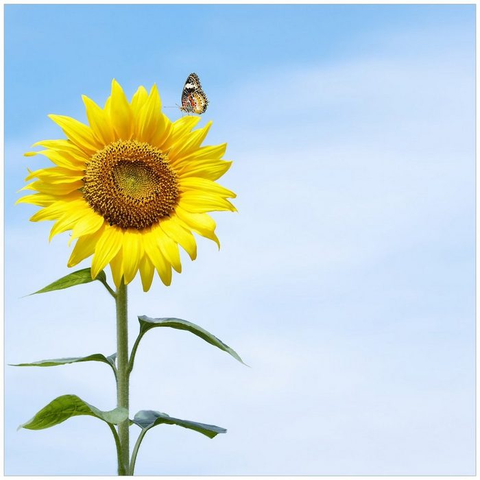 Wallario Möbelfolie Sonnenblume mit Schmetterling