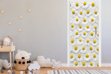 MuchoWow Türtapete Ein florales Muster aus Gänseblümchen, Matt, bedruckt, (1 St), Fototapete für Tür, Türaufkleber, 75x205 cm