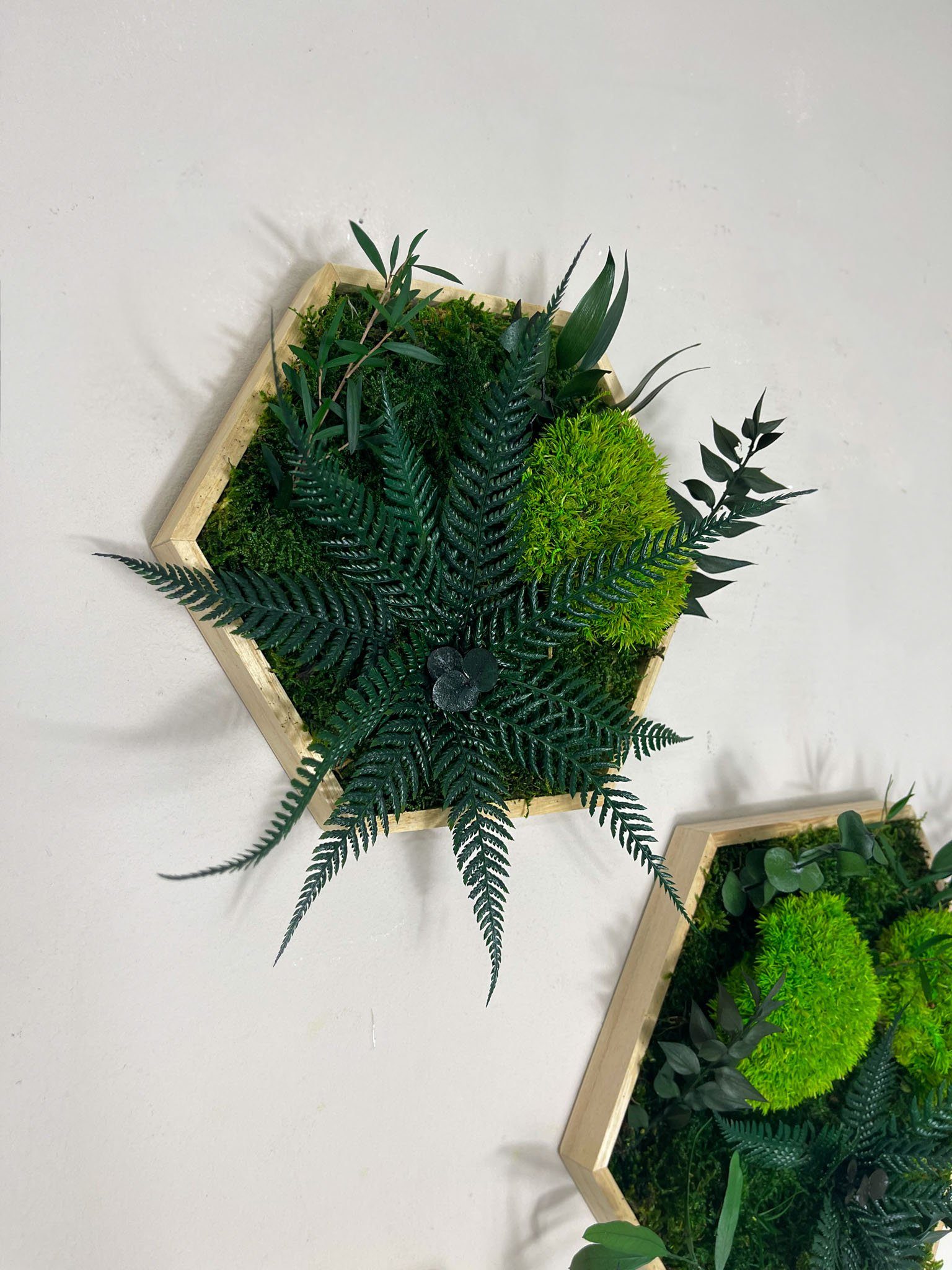 Gedankenwunder Manufaktur Bild Kleine Dschungelblume & Pflanzen Moosbild Hexagon Sechseck Holzrahmen