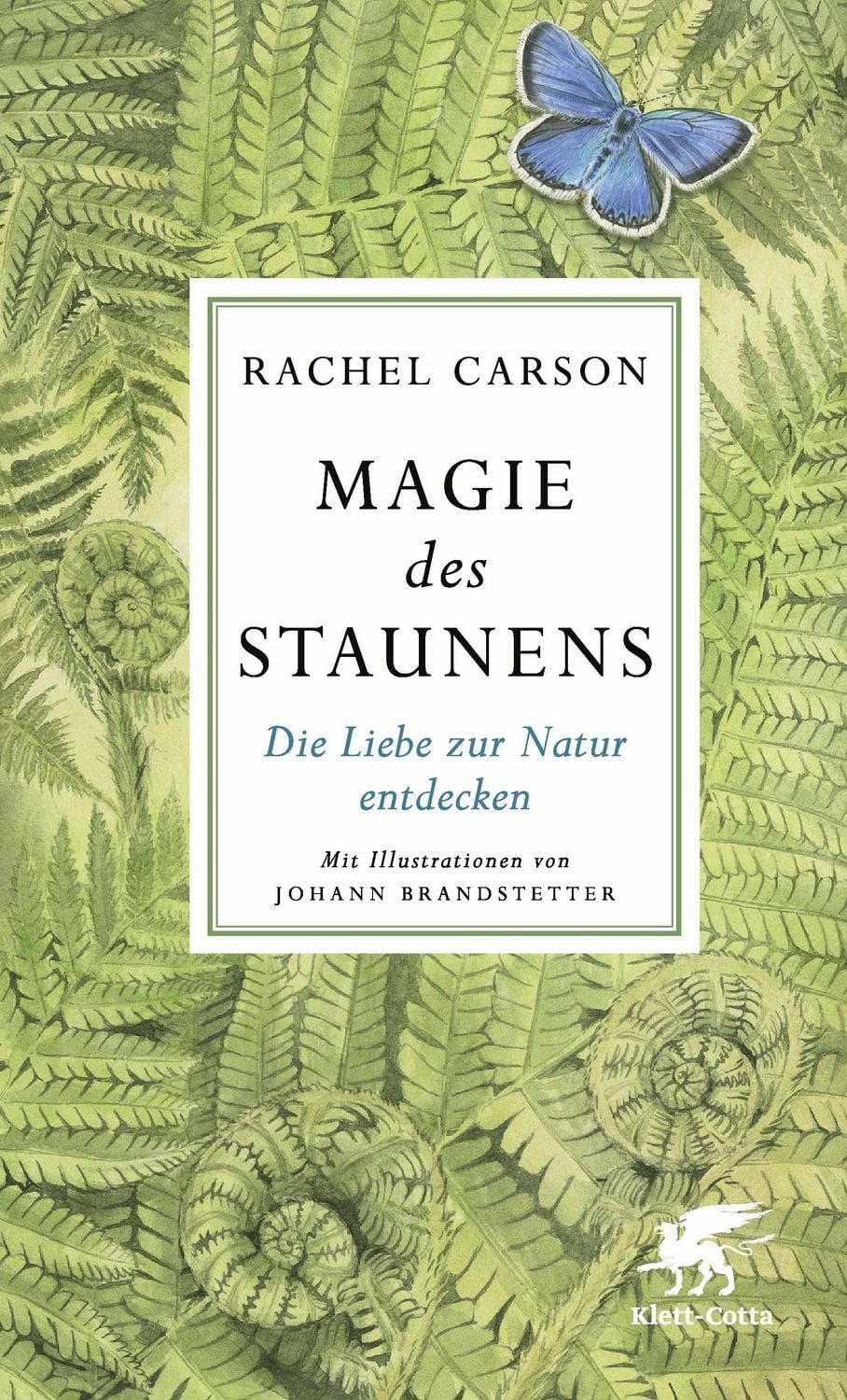 Magie des Staunens / Rachel Carson