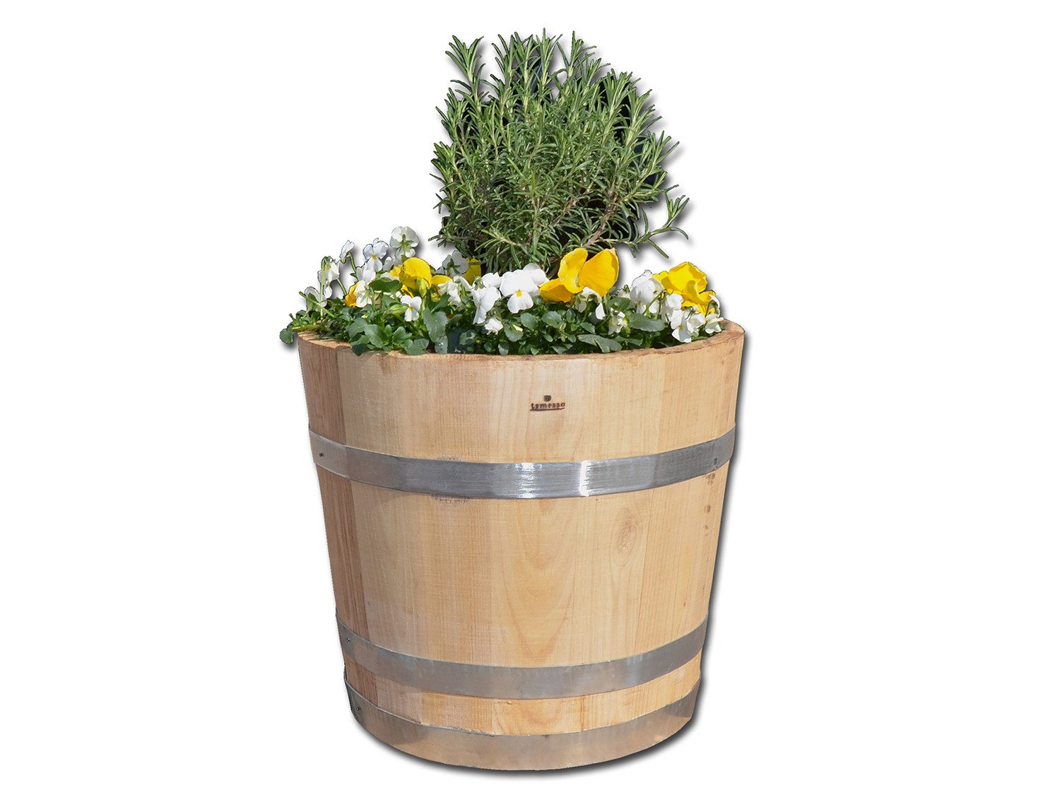 Temesso Pflanzkübel 30-60 cm Durchmesser günstig online kaufen