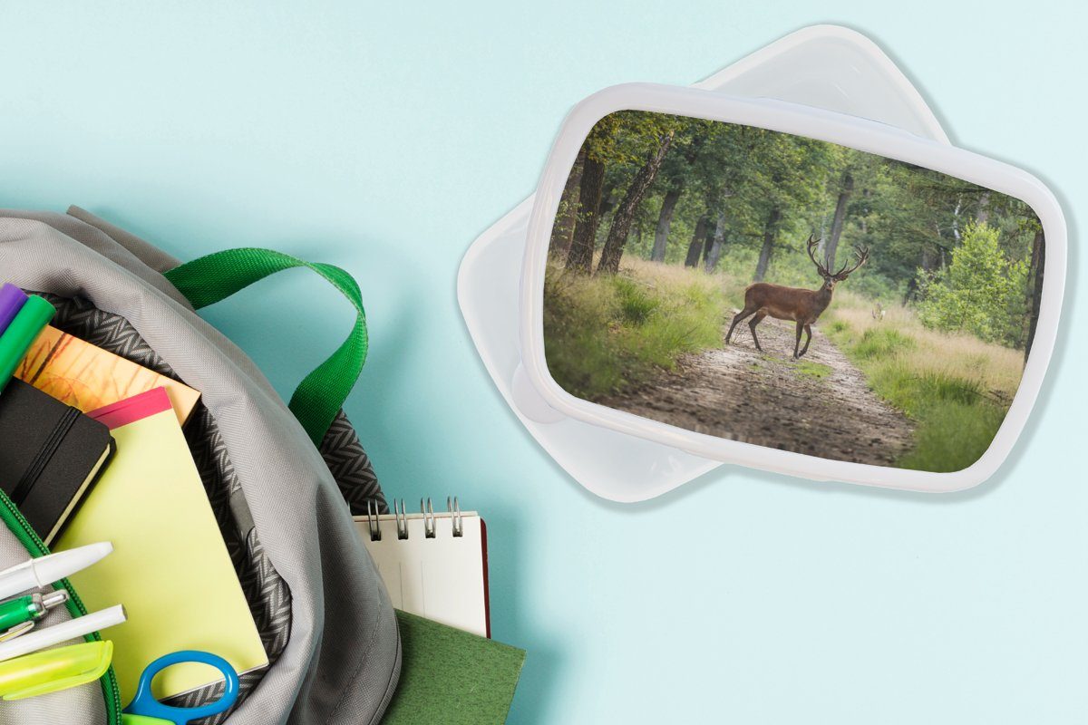 Hirsche weiß Brotdose, Mädchen Kinder Kunststoff, Bäume, und für - Wald (2-tlg), - und für Lunchbox Jungs Erwachsene, MuchoWow Brotbox