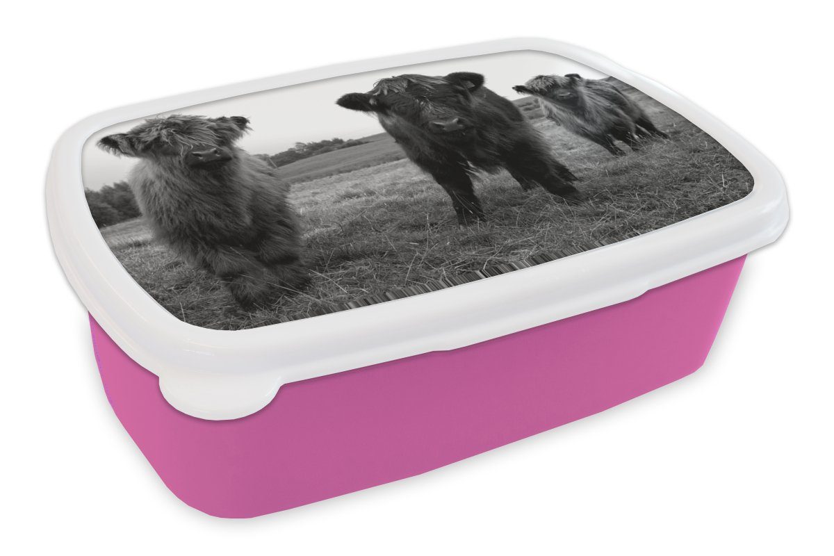 MuchoWow Lunchbox Schottische Highlander - Kühe - Natur - Grün - Gras, Kunststoff, (2-tlg), Brotbox für Erwachsene, Brotdose Kinder, Snackbox, Mädchen, Kunststoff rosa