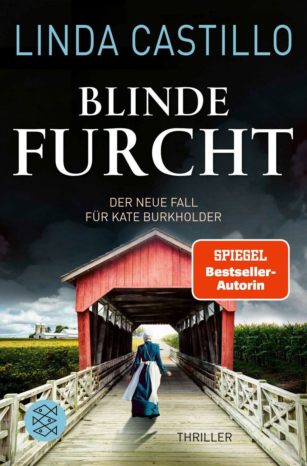 Blinde Furcht / Linda Castillo